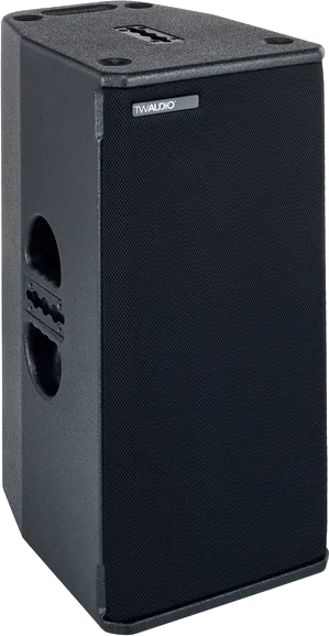 TW AUDiO T20 Loudspeaker